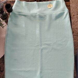 #CAS 005 LuLaRoe Cassie Mint Pencil Skirt
